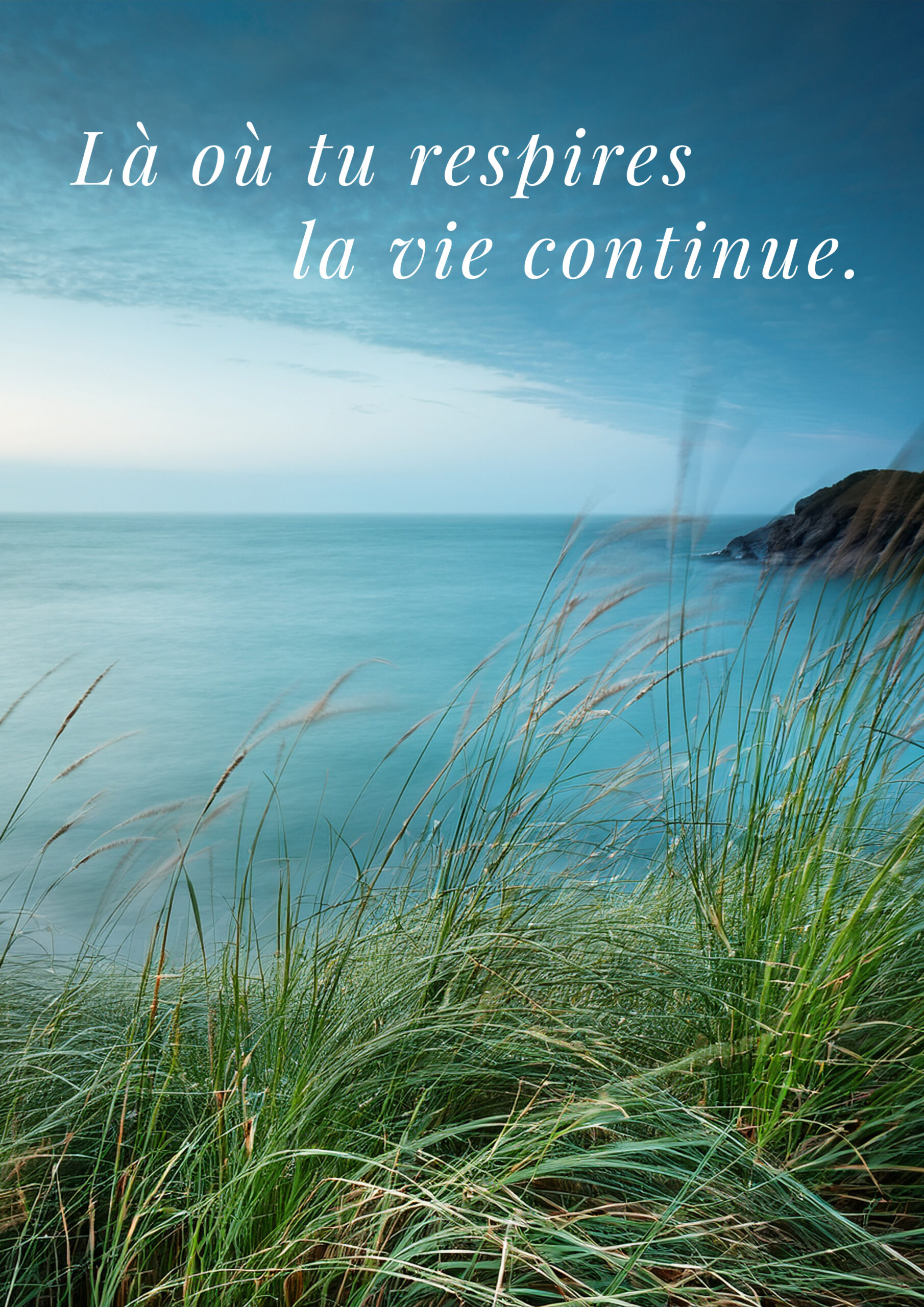 Là où tu respires la vie continue