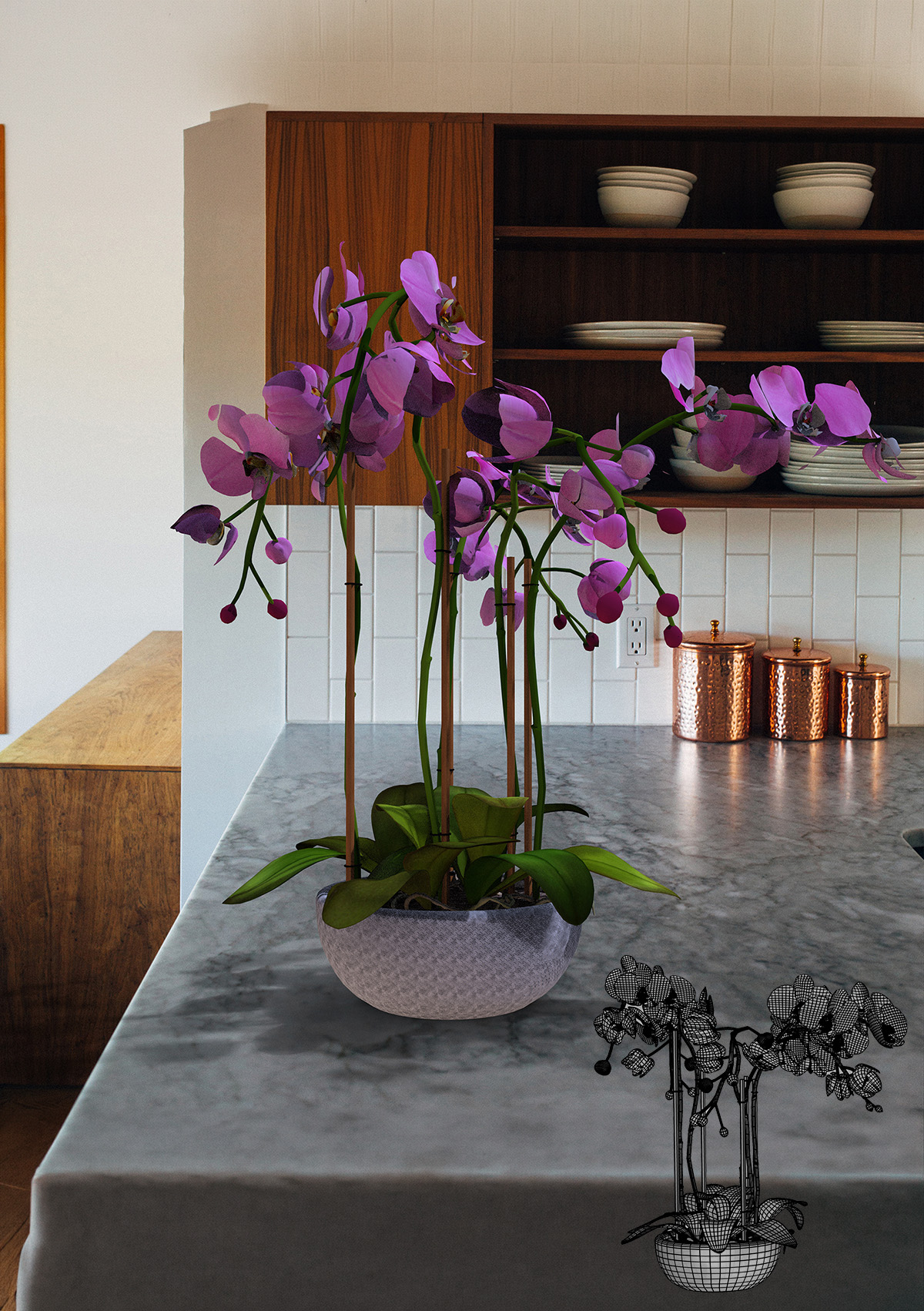 Orchidée.